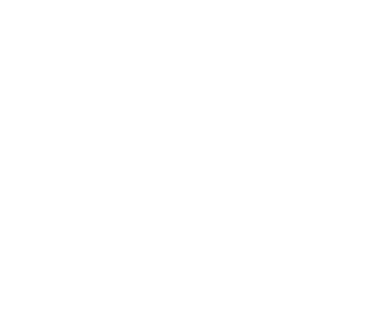 PALYOUTH